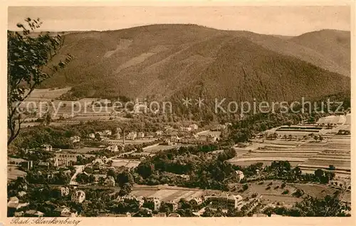 AK / Ansichtskarte Bad Blankenburg Blick vom Greifenstein Kat. Bad Blankenburg