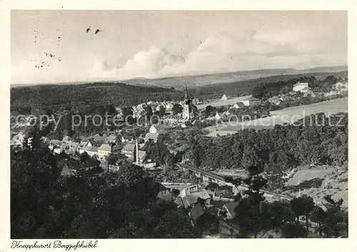 AK / Ansichtskarte Berggiesshuebel Teilansicht  Kat. Bad Gottleuba Berggiesshuebel