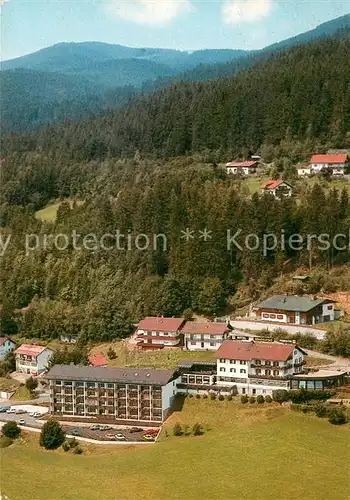 AK / Ansichtskarte Bodenmais Hotel Waldesruh Cafe Kat. Bodenmais