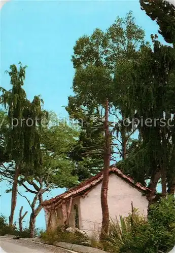 AK / Ansichtskarte Venezuela Haus im Urwald Kat. Venezuela