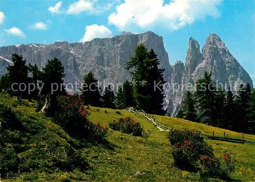 AK / Ansichtskarte Seiser Alm Panorama  Kat. Seis am Schlern Kastelruth Suedtirol