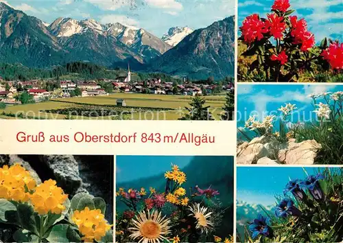 AK / Ansichtskarte Oberstdorf Panorama Blumen Kat. Oberstdorf