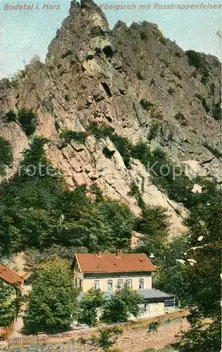 AK / Ansichtskarte Bodetal Harz Koenigsruh Rosstrappenfelsen Kat. Treseburg