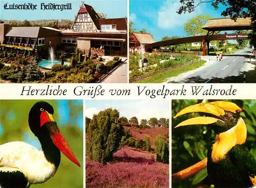 AK / Ansichtskarte Voegel Vogelpark Walsrode Luisenhoehe Heidjergrill  Kat. Tiere