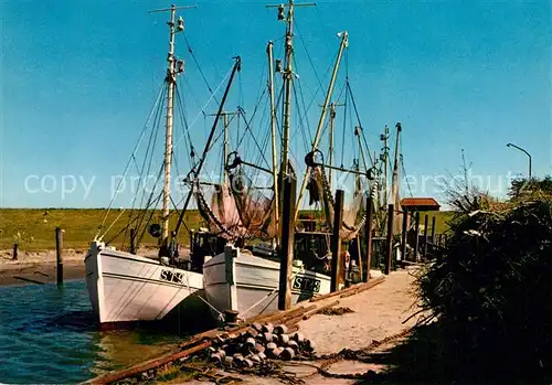 AK / Ansichtskarte St Peter Ording Krabbenkutter im Tuemlauer Koog Kat. Sankt Peter Ording