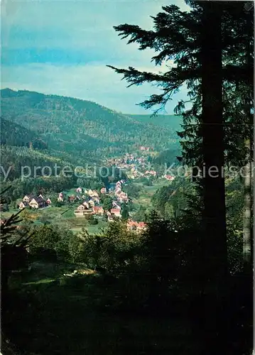 AK / Ansichtskarte Bad Herrenalb Ev Schwesternerholungsheim Panorama Kat. Bad Herrenalb