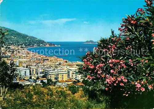 AK / Ansichtskarte Alassio Riviera dei Fiori Panorama Kat. 