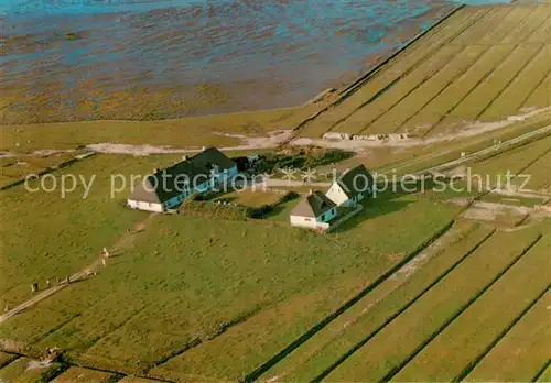 AK / Ansichtskarte Hamburger Hallig Fliegeraufnahme Hallig Krug Kat. 