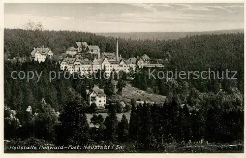 AK / Ansichtskarte Neustadt Sachsen Heilstaette Hohwald Kat. Neustadt Sachsen