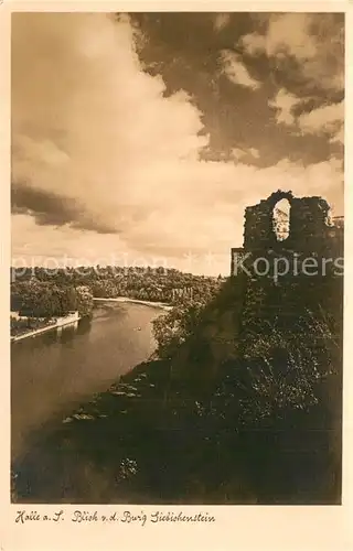 AK / Ansichtskarte Halle Saale Blick von der Burg Giebichenstein Burgruine Kat. Halle