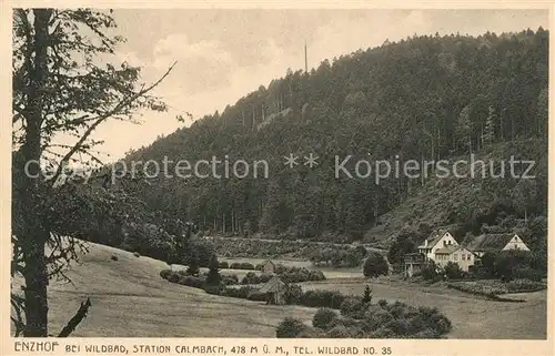 AK / Ansichtskarte Calmbach Enz Enzhof im Schwarzwald Kat. Bad Wildbad