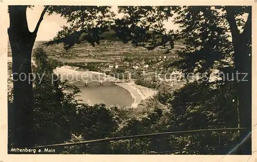 AK / Ansichtskarte Miltenberg Main Panorama Kat. Miltenberg