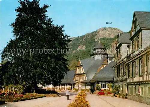 AK / Ansichtskarte Bad Muenster Stein Ebernburg Baeder und Kurmittelhaus mit Gans Kat. Bad Muenster am Stein Ebernburg