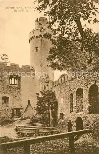 AK / Ansichtskarte Auerbach Bergstrasse Schloss Kat. Bensheim