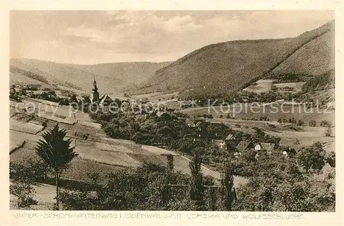 AK / Ansichtskarte Unter Schoenmattenwag Panorama Luftkurort mit Korsika und Wolfsschlucht Kat. Wald Michelbach