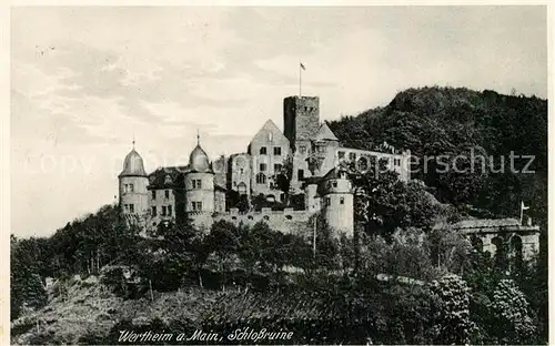 AK / Ansichtskarte Wertheim Main Schlossruine Kat. Wertheim