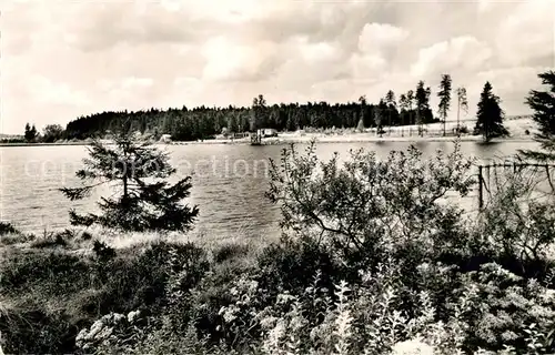 AK / Ansichtskarte Clausthal Zellerfeld Waldsee Kat. Clausthal Zellerfeld