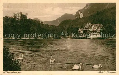 AK / Ansichtskarte Hohenschwangau Schloss Schwaene Hotel Alpenrose Kat. Schwangau