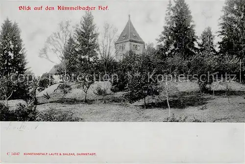 AK / Ansichtskarte Neckargemuend Kuemmelbacher Hof Kat. Neckargemuend