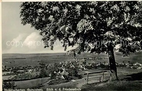 AK / Ansichtskarte Dinkelscherben Panorama Blick von der Friedenslinde Kat. Dinkelscherben