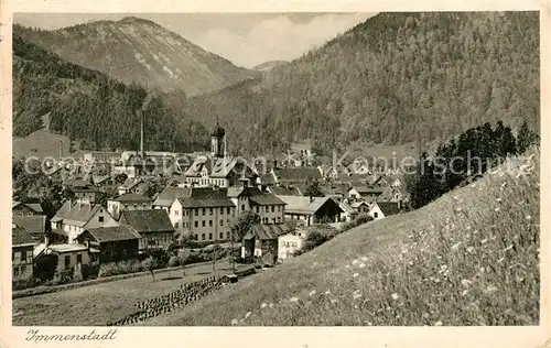 AK / Ansichtskarte Immenstadt Allgaeu Ortsansicht mit Kirche mit Steineberg und Stuiben Kat. Immenstadt i.Allgaeu