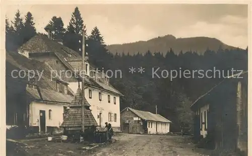 AK / Ansichtskarte Zwiesel Niederbayern Waldhaus am Falkenstein Bayerischer Wald Kat. Zwiesel