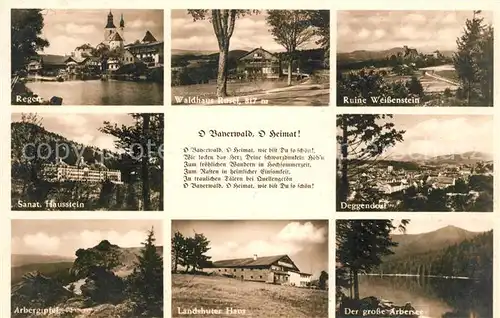 AK / Ansichtskarte Deggendorf Donau Ruine Weissenstein Regen Sanatorium Hausstein Arbergipfel Arbersee Kat. Deggendorf