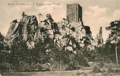 AK / Ansichtskarte Regen Ruine Weissenstein Kat. Regen