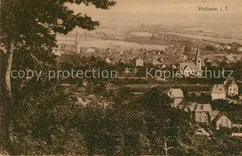 AK / Ansichtskarte Hofheim Taunus Ansicht vom Waldrand aus Kat. Hofheim am Taunus