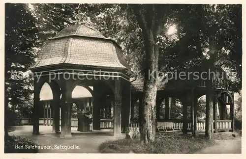 AK / Ansichtskarte Bad Salzhausen Salzquelle Kat. Nidda