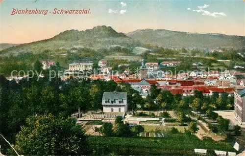 AK / Ansichtskarte Blankenburg Thueringen Stadtpanorama Kat. Blankenburg Thueringen