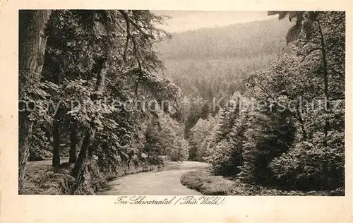 AK / Ansichtskarte Sitzendorf Thueringen Waldpartie im Schwarzatal am Fluss Thueringer Wald Kat. Sitzendorf Schwarzatal