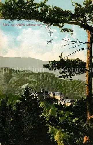 AK / Ansichtskarte Schwarzburg Thueringer Wald Schloss Kat. Schwarzburg