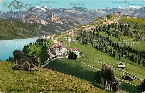 AK / Ansichtskarte Rigi Staffel und Rigi Kulm Almwiese Kuehe Alpenpanorama Kat. Rigi Staffel