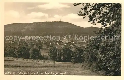 AK / Ansichtskarte Hiddesen Panorama Kat. Detmold