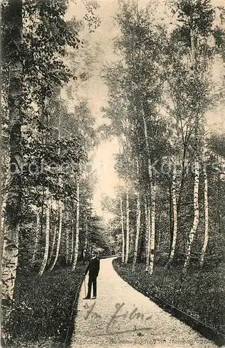 AK / Ansichtskarte Magdeburg Partie im Wald Kat. Magdeburg