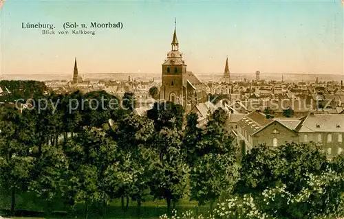 AK / Ansichtskarte Lueneburg Blick vom Kalkberg Kat. Lueneburg