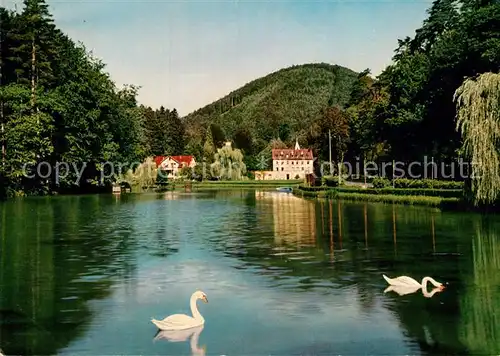 AK / Ansichtskarte Bad Bergzabern Schwanenweiher Kat. Bad Bergzabern