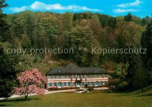 AK / Ansichtskarte Auerbach Bergstrasse Parkhtoel Herrenhaus  Kat. Bensheim