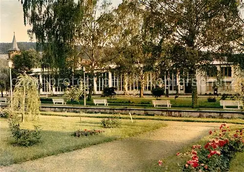 AK / Ansichtskarte Bad Koenig Odenwald Kurgarten und Wandelhalle Kat. Bad Koenig