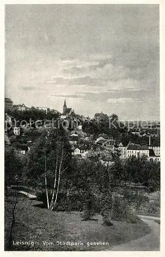 AK / Ansichtskarte Leisnig Panorama Kat. Leisnig