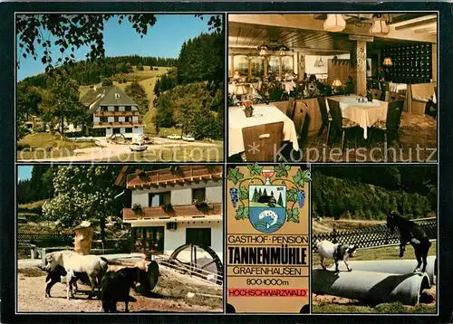 AK / Ansichtskarte Grafenhausen Schwarzwald Gasthaus Pension Tannenmuehle  Kat. Grafenhausen