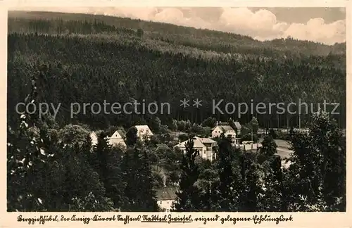 AK / Ansichtskarte Berggiesshuebel Panorama Kat. Bad Gottleuba Berggiesshuebel