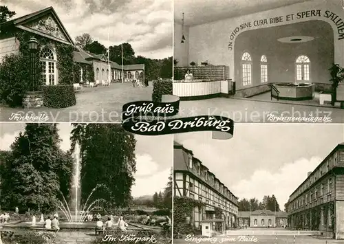 AK / Ansichtskarte Bad Driburg Trinkhalle Brunnenausgabe Kurpark Kat. Bad Driburg