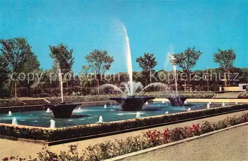 AK / Ansichtskarte Tokyo The Great Fountains of Princes Mariage Memory Kat. Tokyo