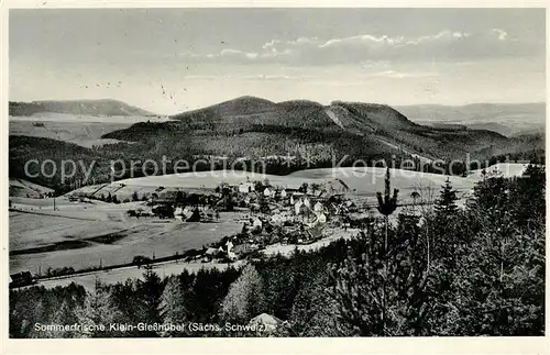 AK / Ansichtskarte Kleingiesshuebel Sommerfrische Landschaftspanorama Kat. Reinhardtsdorf Schoena