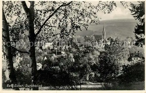 AK / Ansichtskarte Bad Elster Panorama Kat. Bad Elster