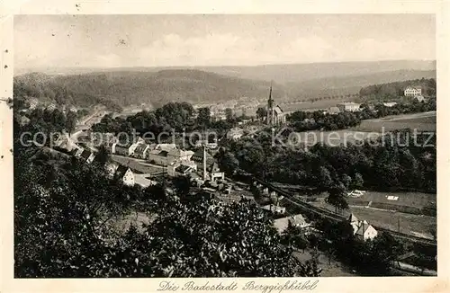 AK / Ansichtskarte Berggiesshuebel Panorama Kat. Bad Gottleuba Berggiesshuebel