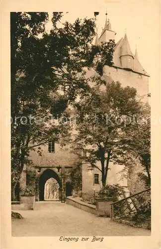 AK / Ansichtskarte Waldheim Sachsen Eingang Burg Kriebstein Kat. Waldheim Sachsen