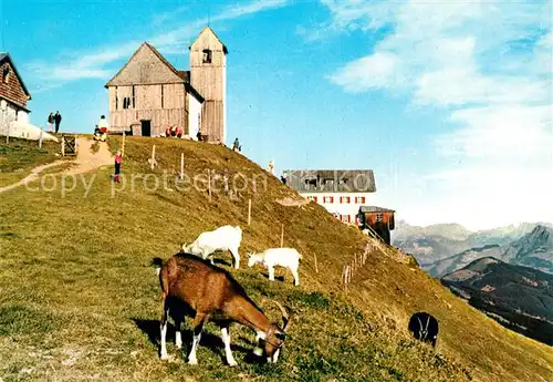 AK / Ansichtskarte Hohe Salve Gipfel Ziegen  Kat. Hopfgarten im Brixental